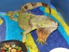 iguana